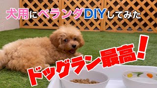 ベランダを【DIY】してドッグランを作ったら愛犬が大興奮で一緒にくつろげる空間に！トイプードルCoCo