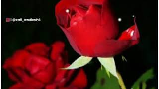 #rose_day #valentine_day ❤️ Happy Rose Day 💝 Valentine Day Special Status 😍 New Whatsapp Status ❤️