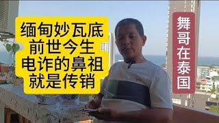 舞哥在泰国：缅甸妙瓦底的前世今生，电诈的鼻祖就是传销#泰国养老#泰国旅游#妙瓦底#电诈#王星