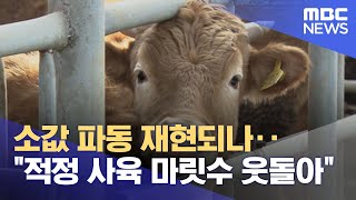 소값 파동 재현되나‥\