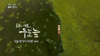 180301 인간과습지 예고 ㅣ KBS방송