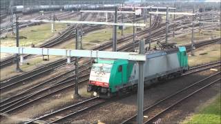 186 207, TRAXX NMBS 2815 compilatie