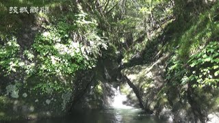 山歩き里ある記　武生山（常陸太田市）