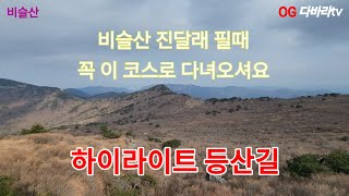 비슬산 등산코스 도통바위  천왕봉 대견사 대견봉 유가사