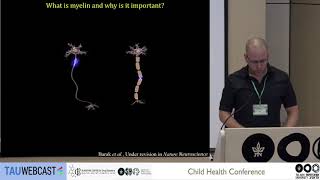 Altered myelination as a novel pathophysiological approach in Williams syndrome