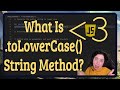 What is the .toLowerCase() String Method? | JavaScript in LESS-THAN 3 | JavaScript Beginner Series