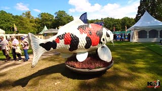 Worlds BIGGEST Koi Show