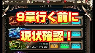 【キンスレ】９章行く前に現状確認【King's Raid】