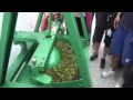 食農教育 製茶流程練習（北溝農場）practice of tea processing