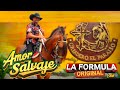 Amor Salvaje - La Formula Original / Volumen 17📀(Video Oficial)