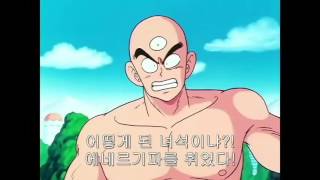 드래곤볼] 한번에보는 피콜로대마왕 vs 손오공