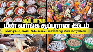 மீன் ஏலம், கூடை Sales @ 6 am காசிமேடு மீன் மார்க்கெட்- Fish Buying, Cutting, Kasimedu Chennai Market