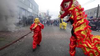 Lincoln International Business District’s celebration of the 2017 Lunar New Year