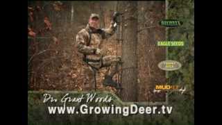 How To Be Safe In the Deer Stand