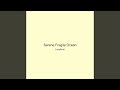 Serene Fragile Ocean