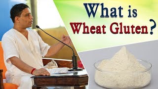 What is Wheat Gluten ? | Acharya Balkrishna