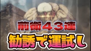 【ブレオダ】㊗2023　勧誘で運試し！