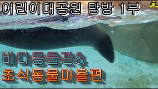 어린이대공원엔 어떤 동물이 살까? 어린이대공원 탐방 1부 바다동물관&초식동물마을편