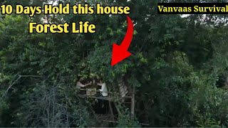 forest survival house |10 days hold on forest | Building wood survival shelter in wildlands |