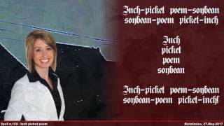 Ristofesius - Spell n.159 - Inch picket poem