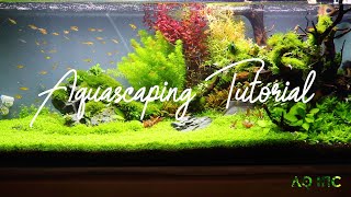 Step by Step Aquascaping Tutorial (200L)