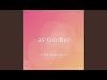 Last Goodbye