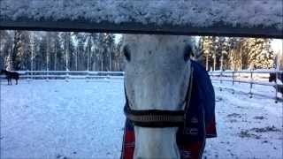 Pakkaspäivä II 2.2.2012.wmv