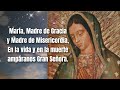 el santo rosario de hoy domingo 26 de enero 2025 misterios gloriosos rosario de hoy