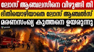 നാശം വിതച്ചു സാന്റാ ആനാ ; പരിഭ്രാന്തിയിലായി നാട്ടുകാർ | los angeles