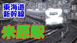 [ホーム両脇には坂！] 東海道新幹線 JR米原駅 発着通過シーン