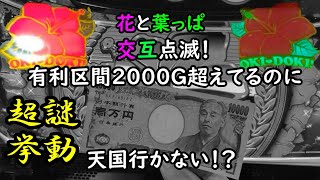 え、天国間2000Gで通常Bでも天国行かないんですが... #沖ドキゴールド