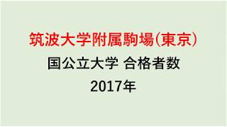 筑波大学附属駒場高校　大学合格者数　H29～H26年【グラフでわかる】