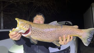 무려 70cm! 4kg의 세계10대 악성외래종을 잡아 4가지 요리로 먹어보자!