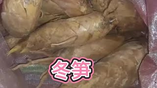 離過年越來越近，老羅去挖冬筍留過年吃，看看挖到多少？ #大自然的饋贈 #挖冬筍