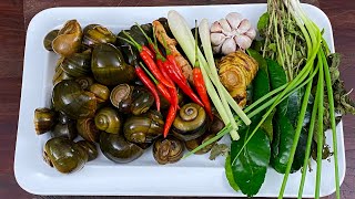 របៀបឆាក្តៅខ្យង -How to Cook Hot Snails with Holy Basil- Vichheka SOK