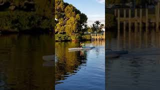 Tetauira Putoa casually paddling OC1