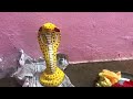 कोकणातील नागपंचमी सण nagpanchami festival in konkan @malvanithings vlog malvanigajali