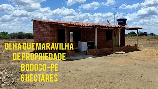 Essa já tem casa, energia e quase toda no jeito de semear. 87981363923