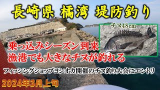 【堤防釣り】初場所で乗っ込みチヌを狙う