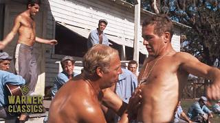 Cool Hand Luke | I Can Eat Fifty Eggs | Warner Classics