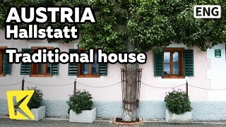 【K】Austria Travel-Hallstatt[오스트리아 여행-할슈타트]집에 붙어 자라는 나무/Lake/Unesco/House/Tree/Traditional