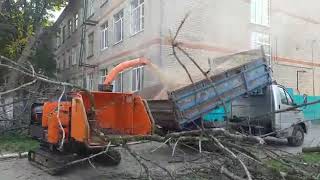 Timberwolf TW75-230 wood chipper in action