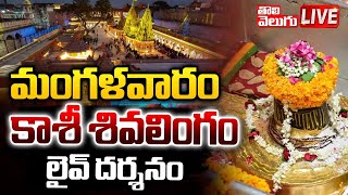 LIVE🛑: మంగళవారం  కాశీ దివ్య లింగ దర్శనం | Today Kashi Vishwanath Live Darshan |Tolivelugu