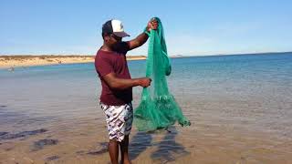 Tamilnadu fishing fish hunting using throw net -எளிய முறையில் வலை போட்டு மீன் பிடித்தல்