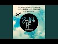 Beautiful Life (Raf Marchesini & Simone Farina 2019 Remix)