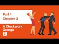 A Clockwork Orange by Anthony Burgess | Part 1, Chapter 3