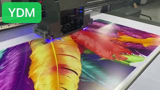 2513 uv printer