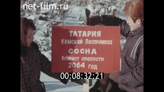 1987г. с. Камский леспромхоз Мамадышский район Татарстан