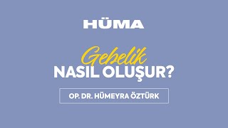 Hüma Sağlık | Gebelik nasıl oluşur?