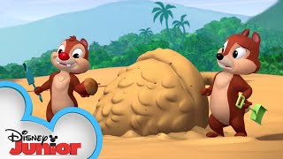 Sand Castle Hassle | Chip 'N Dale's Nutty Tales | Disney Junior